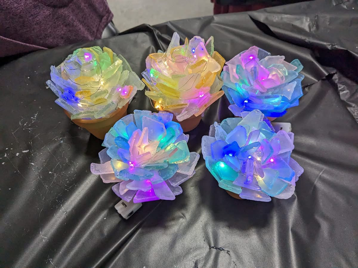 Sea Glass Succulents Workshop