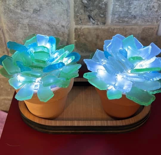 08/23/2026 Sea Glass Tree & Succulent Workshop in Castro Valley