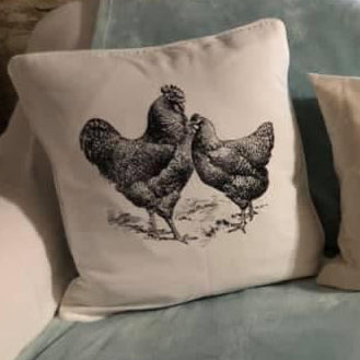 Sofa with decorative pillows featuring farm animal prints and a 'Home sweet Home' pillow.