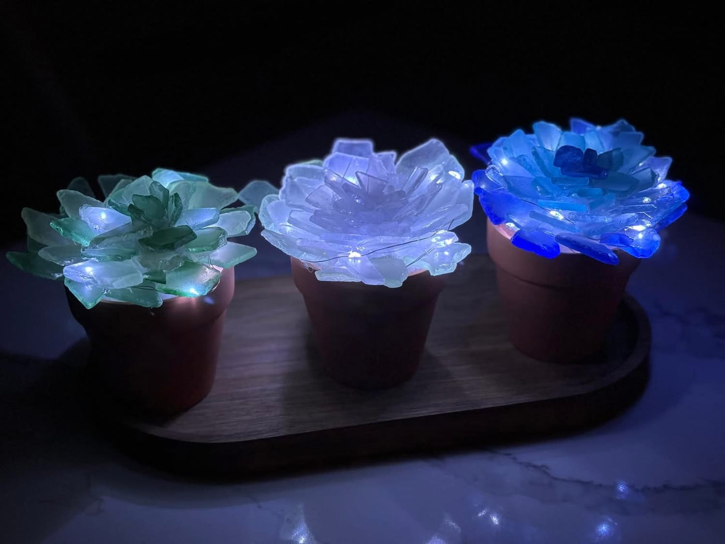 Sea Glass Succulents Workshop
