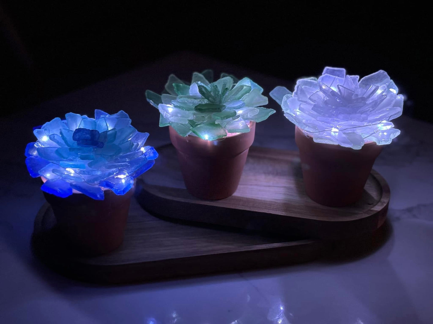 Sea Glass Succulents - Take Home Kit