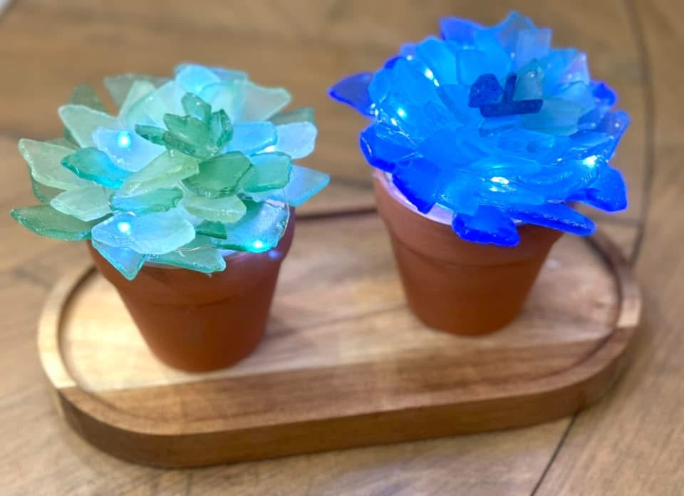 Sea Glass Succulents Workshop