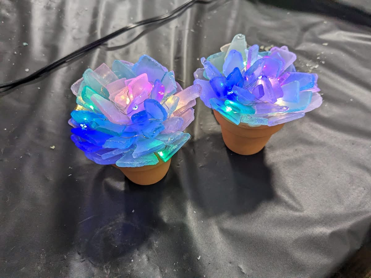 Sea Glass Succulents - Take Home Kit