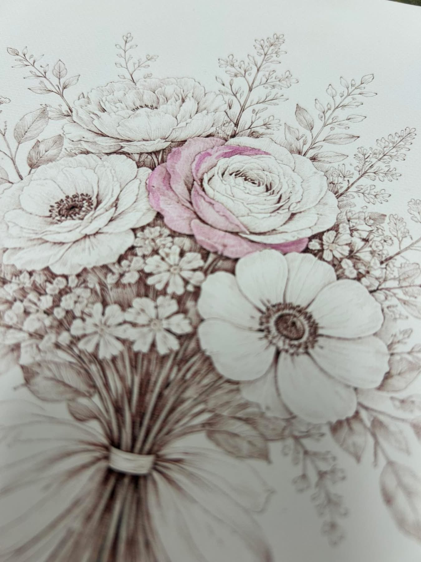 Detailed illustration of flowers with a focus on white and pink hues.