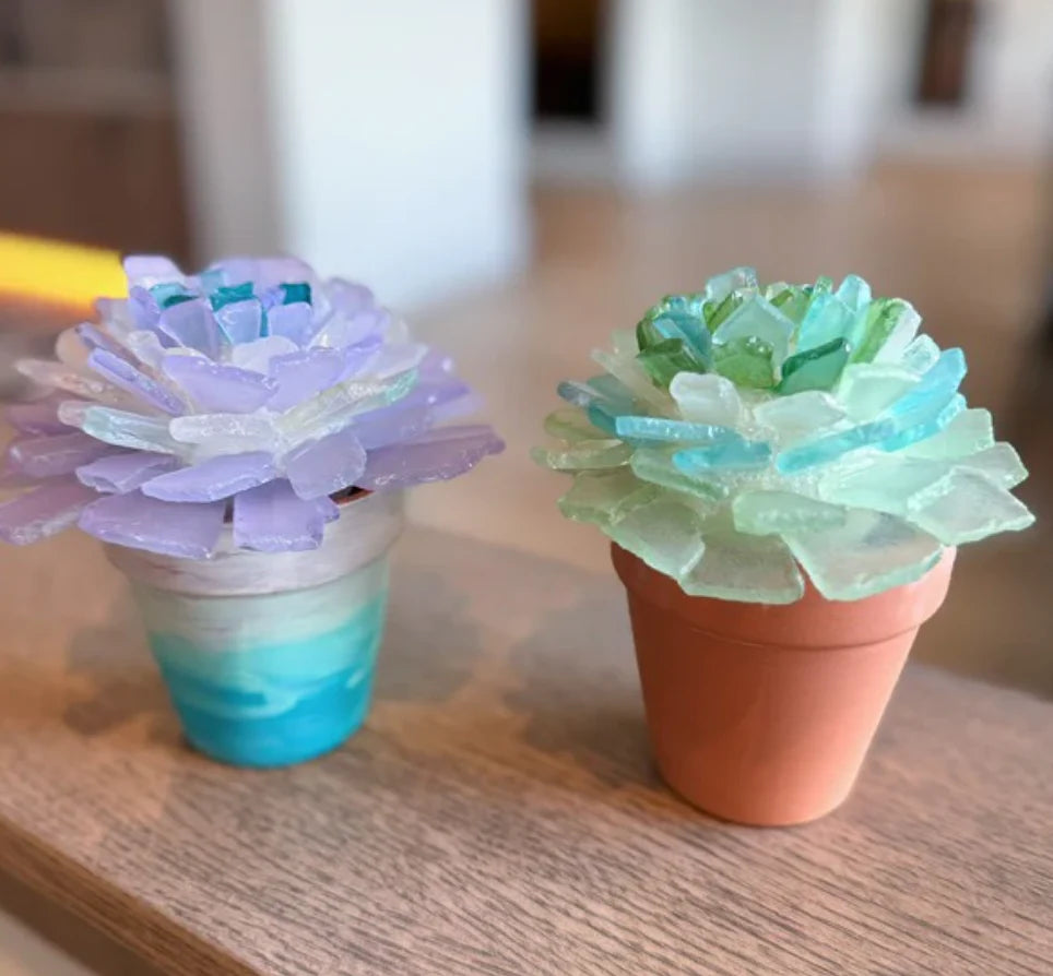08/23/2026 Sea Glass Tree & Succulent Workshop in Castro Valley