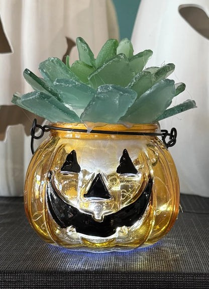 09/26/2026 Sea Glass Pumpkins and Trees Workshop at ChaiAum in Pleasanton