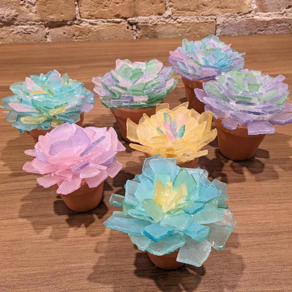 Sea Glass Succulents Workshop