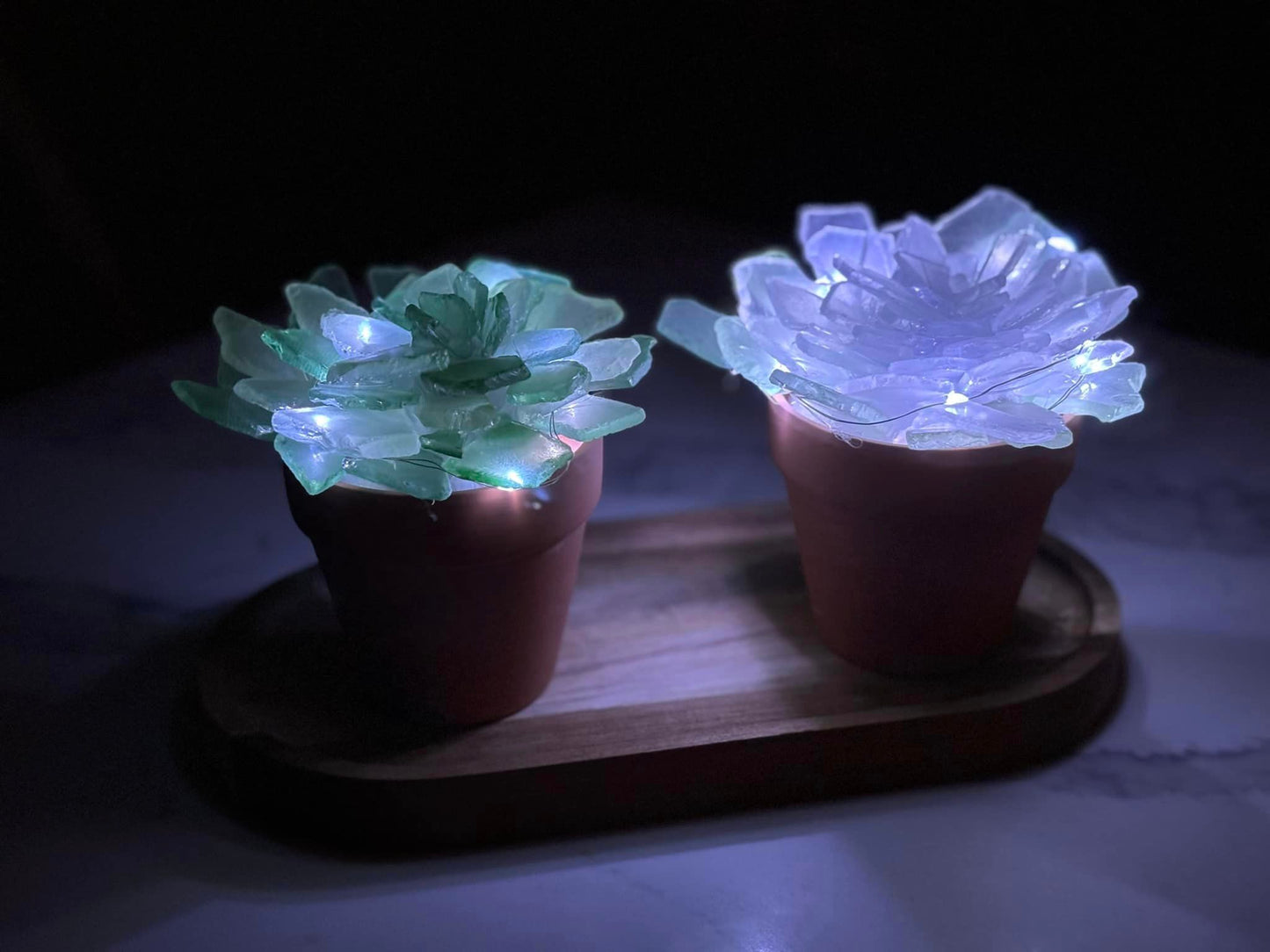 Sea Glass Succulents Workshop