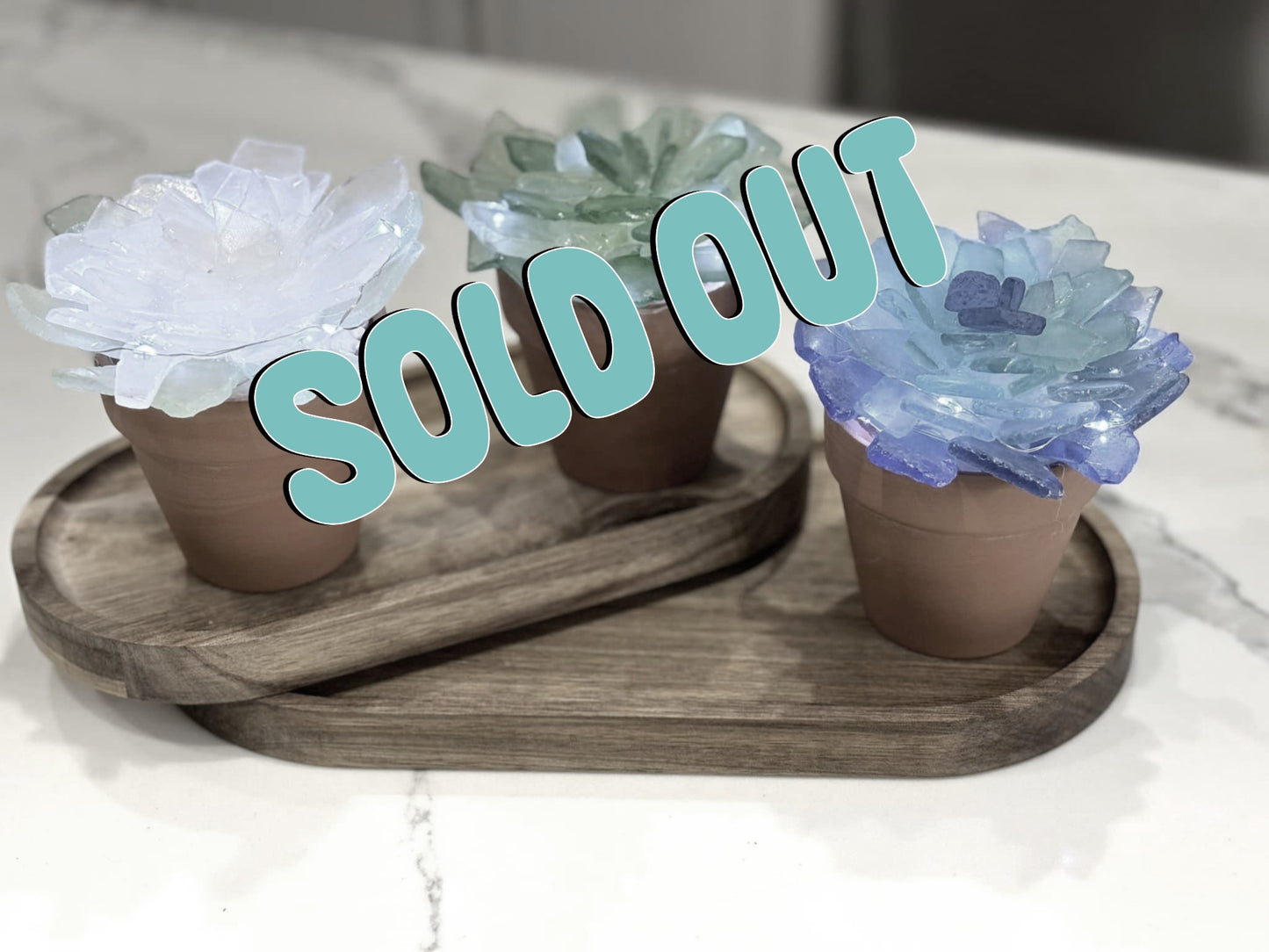 05/17/2026 Sea Glass Succulents Workshop at Saltwater Gifts in Pleasanton