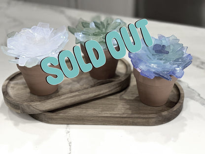 05/17/2026 Sea Glass Succulents Workshop at Saltwater Gifts in Pleasanton