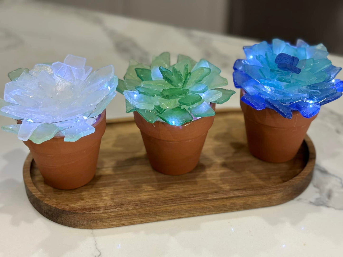 Sea Glass Succulents Workshop